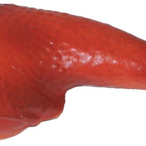 GIOCO VINILE COSCIA DI POLLO 18 CM. .