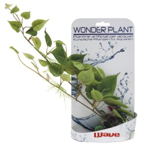 WONDER PLANT SERIES D 25-40 cm