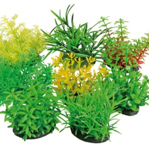 TROPICAL PLANT 7 CM SERIES