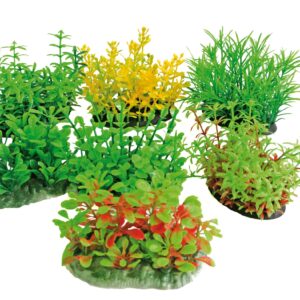 TROPICAL PLANT 8 CM SERIES