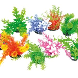 TROPICAL PLANT 14-17 CM SERIES