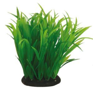 JAPANESE SET 1 SERIES