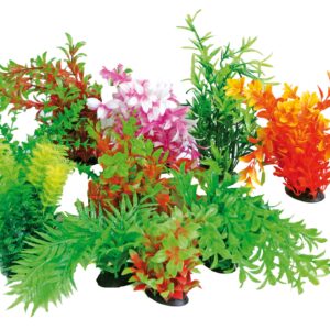 TROPICAL PLANT 22-25 CM SERIES