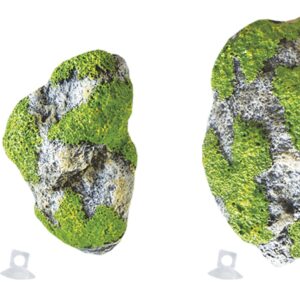 BEAUTY ORNAMENTS ROCHE FLOTTANTE M