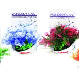 WONDER PLANT SERIES F 13 cm