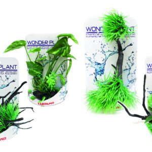 WONDER PLANT SERIES G 20-25 cm