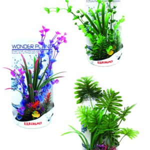 WONDER PLANT SERIES H 30-35 cm