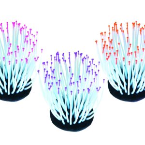 FLUO REEF ANEMONE MIX.COL.7,2x7,2x9 cm