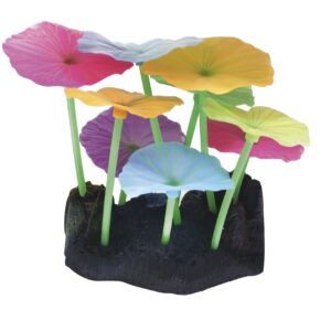 FLUO REEF LOTUS COULEUR 9,8x7,5x11 cm