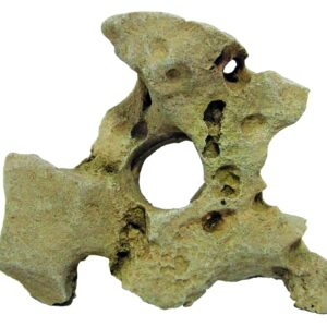 ROCHE GALLURA BEIGE AVEC TROU S