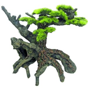 JAPAN BONSAI