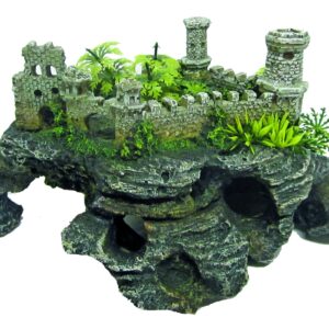 CHÂTEAU AVEC ROCHES M