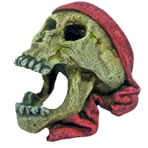 CRÂNE PIRATE AVEC BANDANA
