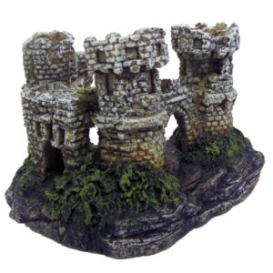 CHÂTEAU AVEC ROCHES XS