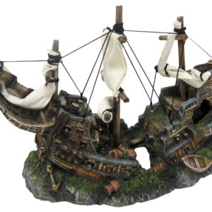 EPAVE SUR LES ROCHERS