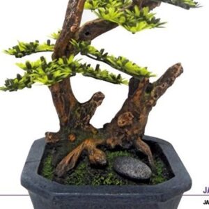 JAPAN BONSAI AVEC VASE