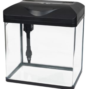 RECHANGE LAGUNA LED 30 PUMP