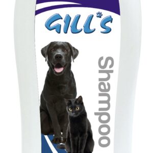 GILL'S SHAMPOING POILE NOIR 1000ML