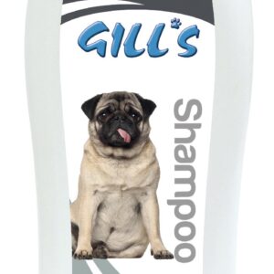 GILL'S SHAMPOINGING SUPER NETTOYANT 1000ML
