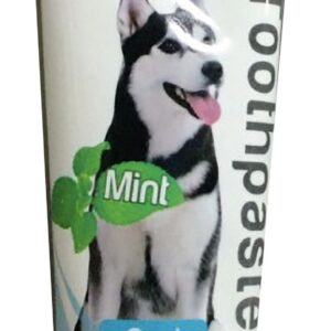 GILL'S DENTIFRICE A LA MENTHE 100g