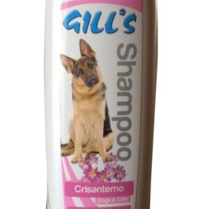 GILL'S SHAMPOINGING CHRYSANTHEME