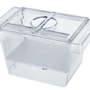 MATERNITE 3 IN 1 AVEC COUVERCLE SMALL