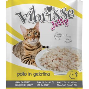VIBRISSE SACHET JELLY POULET 70 g
