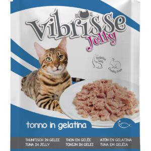 VIBRISSE SACHET JELLY THON 70 g