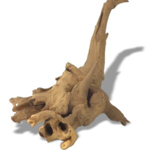 PETIT GUINEA BOIS 10-25 cm