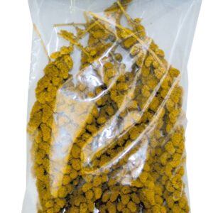 GRAN PASTO EPI DE PANIC 250 GR