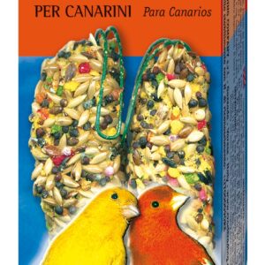 GRAN P.STICK CANARINI GR.60 FRUTTA/MIELE .