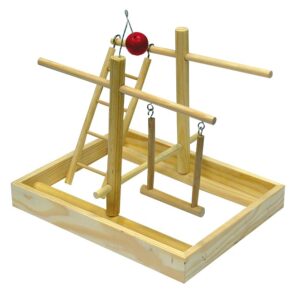 GIOCO COCORITI PALESTRA .*