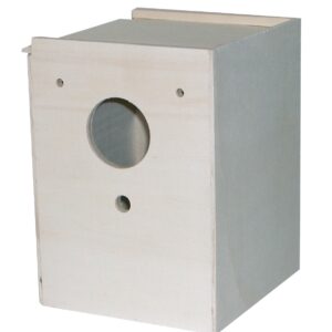 PERRUCHES NEST BOIS .