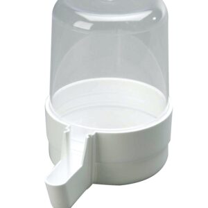 BEVERINO REGGIO A.68 .