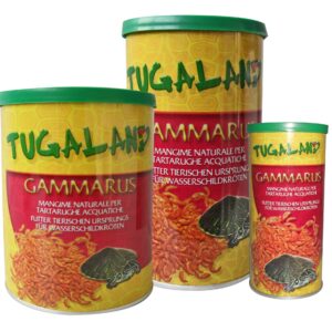 TUGALAND CREVETTE GR.