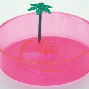 AQUARIUM DE TORTUE VULCANO 25X7 cm