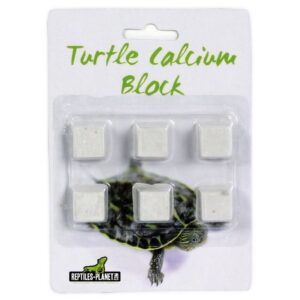 Turtle Calcium Block