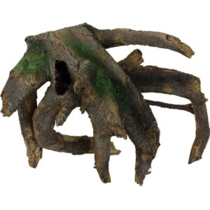 Banyan Tree Root (31x27x19cm) LxLxH for terrarium