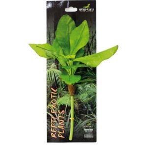 Repti Exotic Plant