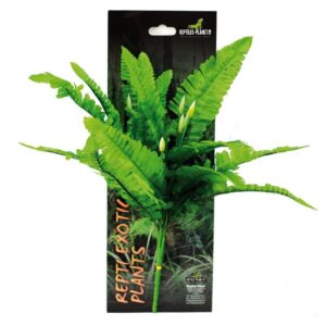 Repti Exotic Plant