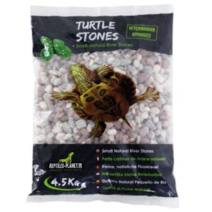 Turtle Stones