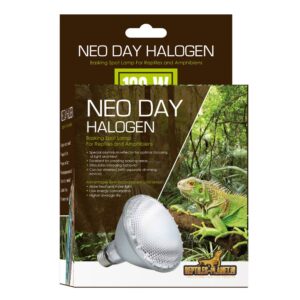 Neo Day Halogen
