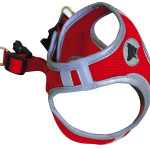 HIKING HARNAIS REFLECTIVE