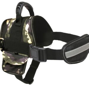 HARNAIS HIKING SWAT + LAISSE