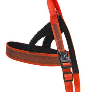 HIKING ELASTIQUE HARNAIS VENTURE