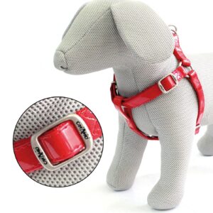 HARNAIS EN CUIR REG.GLOSSY