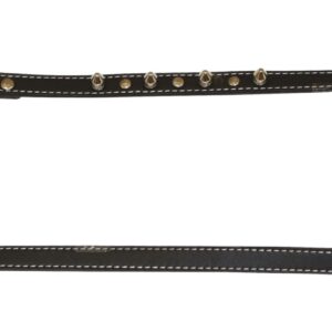 LAISSE CUIR AVEC POINTE