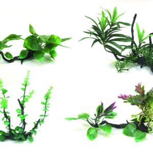 WONDER DRIFTWOOD SERIES 25-30 cm