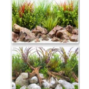 FOND DOUBLE RIVER BLISTER