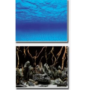 FOND DOUBLE MYSTIC BLISTER